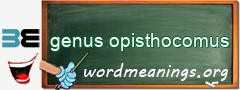 WordMeaning blackboard for genus opisthocomus